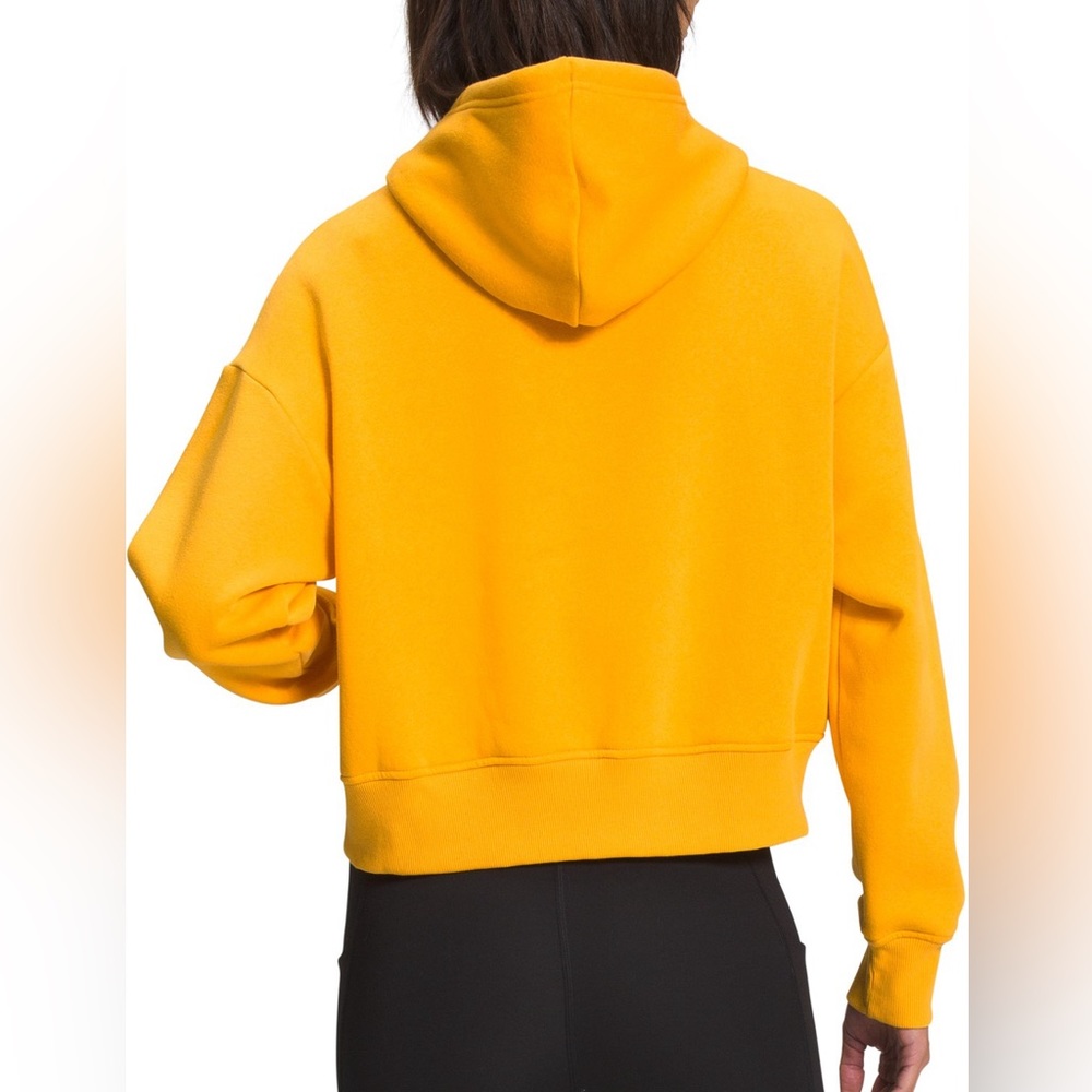 The North Face Outdoors Together Hoodie in yellow rainbow - Picture 2 of 3